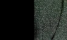 me sneaking to hermanastro's room cuz i'm so damn horny and shakin my latina ass