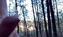 clitlicker662 flashes sloppy pussy in forest for new year's outdoor thrill