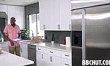 lauren phillips gets dp by black bulls boswell black don prince cuckold style