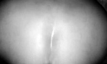 she bends over perfectly for nice doggie pounding from behind