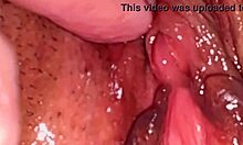 amateur asian wife licks fingers shaved pink pussy 132 days post virginity