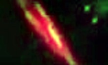 petite latina wife deepthroats monster cock till hot cumshot floods her slut mouth