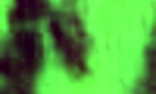 WOW! Huge Fat Ass Bent Over For Creampie Doggystyle In Juicy Booty Compilation!