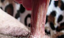 Close-Up View of Her Pulsing Big Clit During Intense Orgasm