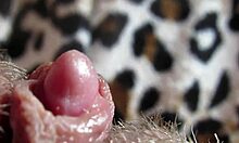 Close-Up View of Her Pulsing Big Clit During Intense Orgasm