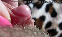 Close-Up View of Her Pulsing Big Clit During Intense Orgasm