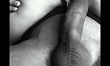 compilación de chorros de salpicaduras features curvy amateurs splashing in bathroom party