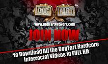 keisha grey slurps huge black cocks at public gloryhole