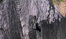 horny belarusian mom craves thick spanish cock from victor bloom at college swingers party