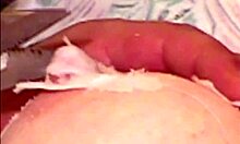 Wanna see Sky's big tits tormented in this BDSM photoshoot bondage?