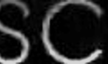 vocês não queriam ver essa safada gostosa dando a bucetinha no pelo? tá aí!