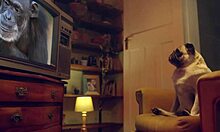 Teen Blonde's Perfect Big Ass And Tits On Display!