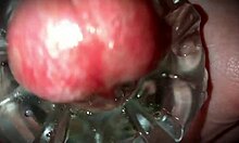 Close-Up First-Time Neighbor Cums Oozing Monster Cock Solo