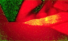 your young latino neighbor's pov huge thick cock throbs ready to dominate