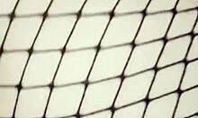 damn this cute milf dances striptease rips clothes masturbates tight holes then takes big monster cock pov 🍑💃🍆