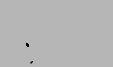 hung stud pounds alex coals' trimmed pussy doggystyle for the job.