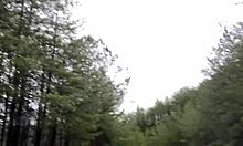 Wanna see my latest clit-licking outdoor flash in the wild forest?