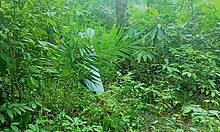 new king hammers bbw goddess fat ass doggystyle in bush