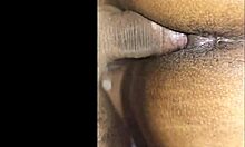 hey bro come eat my pussy but just the tip in my ass close-up