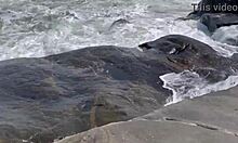 Big black cock ravages young blonde teen lover hard on the beach