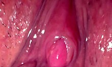 amateur shaved pink pussy closeup 195 days post virginity loss