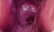 She struts in horny, her shaved wet pussy begging for a deep breedable fill