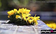 all natural asian teen lily andrews strips naked poolside passion