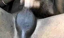 Mzansi teen jerks off watching tv and porn online casually