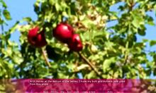 lets play friends with benefits again 😏 part 14 cumshots everywhere!