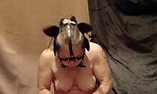 i feel like such a humiliated ponygirl slave getting licked bent over