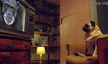 Watch Me Vibrate Amy Douxxx on Couch!