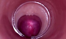 internal cam films deep creampie insemination in tight pussy 💦📹