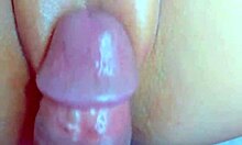 puffy pink desi pussy tempts massive black cock for steamy stretch
