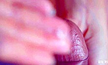 desi couple rubs cock along shaved pussy in private close-up