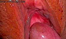 Amateur Japanese Wife's Shaved Pink Pussy Wet 338 Days Post-Virginity Loss!