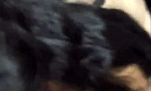 my teen gf in lingerie licks and sucks my cock with her amazing tongue mmm