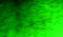 hey wanna watch this casual interracial fuck with my monster black cock?