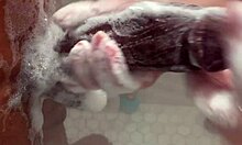 step bro your monster bbc is huge let big sis play while parents gone