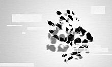 Sugary Legal Age Teen 18+Ager Amazed By Large Cock