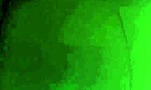 wanna see my fat wife whore flash her huge natural tits in fishnet bra?