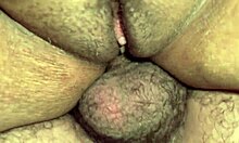 wanna suck and lick this ass before i fuck my colombian step-cousin?