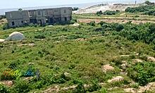 i was enjoyin the view then saw switcock's monster cock first time ever