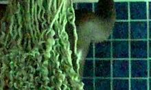 i can't believe our best couple sex with big black cock was that wet and rough