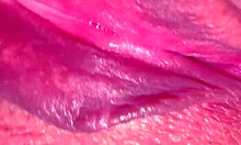 Amateur Pink Pussy Still So Tight 237 Days Post-Virginity