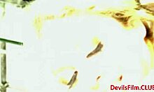 naughty pigtail teen gets ass drilled deep doggystyle bedroom sloppy ride