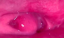 Amateur Pink Pussy Still So Tight 237 Days Post-Virginity