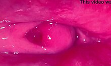 Amateur Pink Pussy Still So Tight 237 Days Post-Virginity