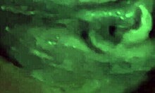 Wanna see my wet teen pussy squirt everywhere?