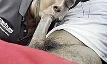 Hella gulps down thick loads in homemade chubby deepthroat swallow fest vol 2