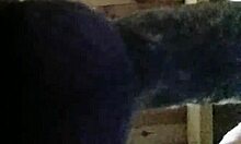 curvy latina mature spreads her fat ass close-up begging for crazy homemade fuck